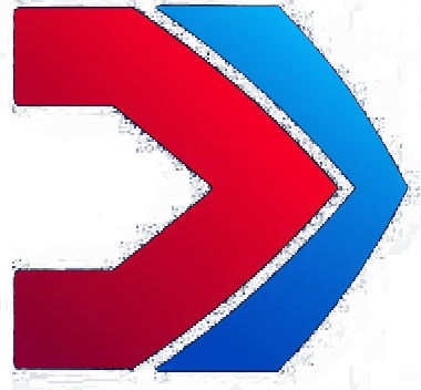 Immediate Paragon France Logo